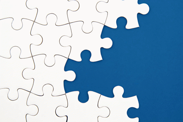 14 نکته درباره بیچون فریز: سگ عروسکی همه‌فن حریف