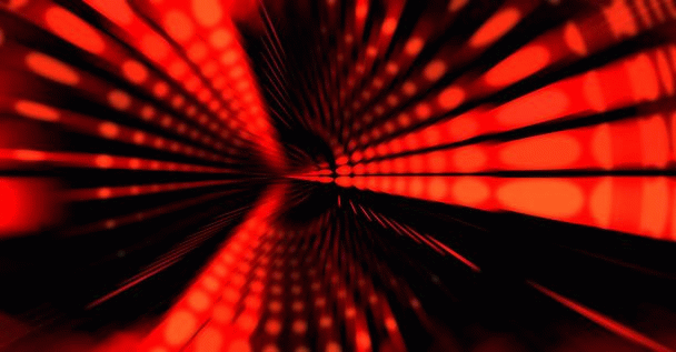 توکسوپلاسموز در گربه: 19 نکته کلیدی و خطر انتقال به انسان