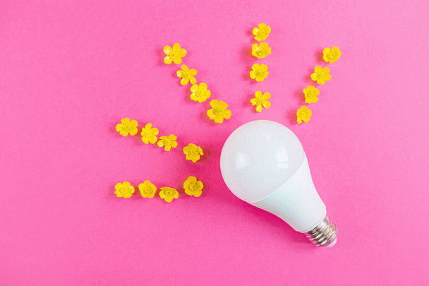 آموزش جذب مخاطب هدف: چکیده تجربیات نی نی سایت در سال 1404